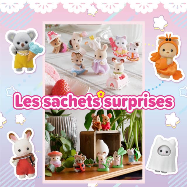 Les Sachets Surprises