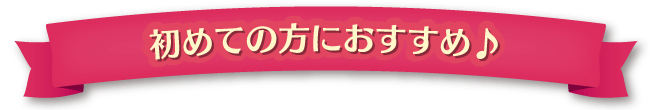 初めてシルバニアファミリーを購入される方におすすめ