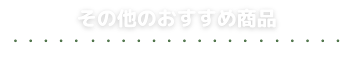 その他のおすすめ商品