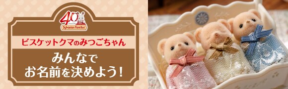 Sylvanian Families 40th Anniversary ビスケットクマのみつごちゃん みんなでお名前を決めよう！